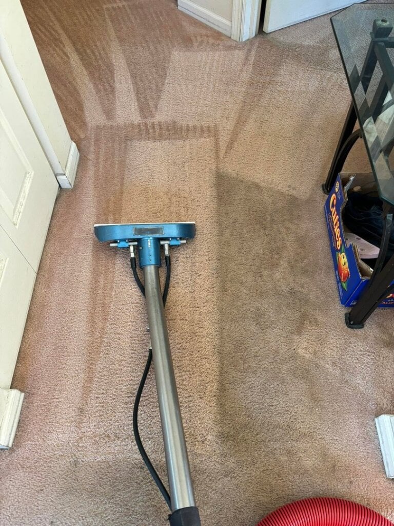 Professional Carpet Cleaning Service in McHenry, Lakemoor, and Northwest Chicago. Request your free quote today!